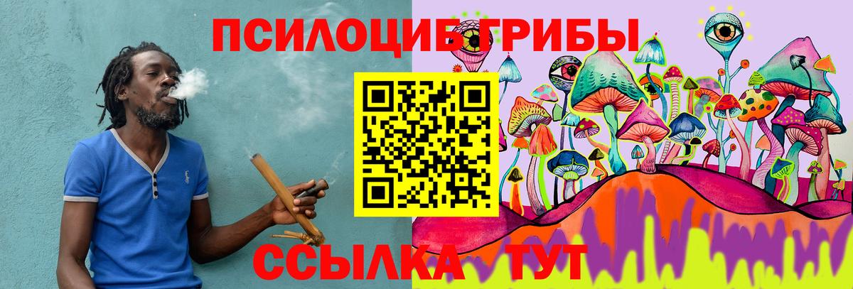 Галлюциногенные грибы GOLDEN TEACHER  Вход с VPN  Волхов  Псилоцибиновые грибы мицелий 