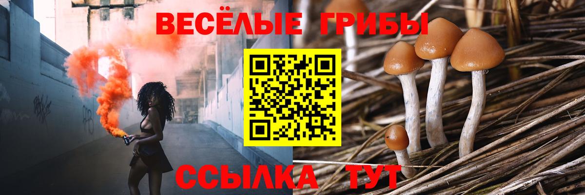Псилоцибиновые грибы мухоморы Волхов