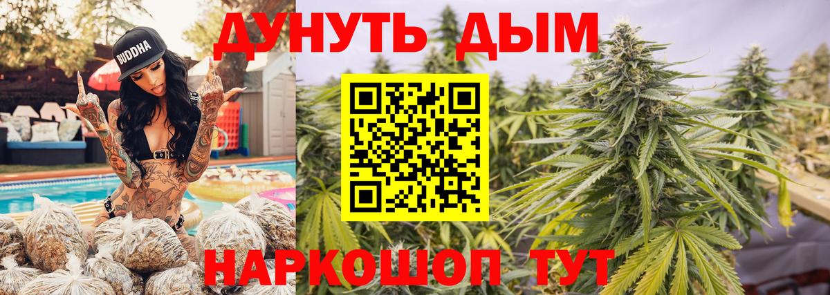 МАРИХУАНА конопля Волхов